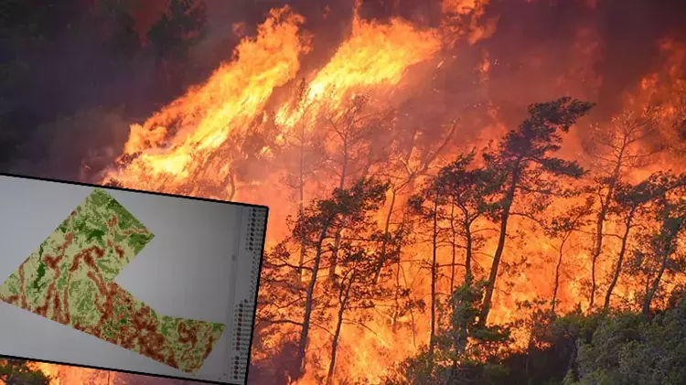 Orman yangınlarına karşı yapay zeka destekli erken uyarı sistemi geliştirdiler